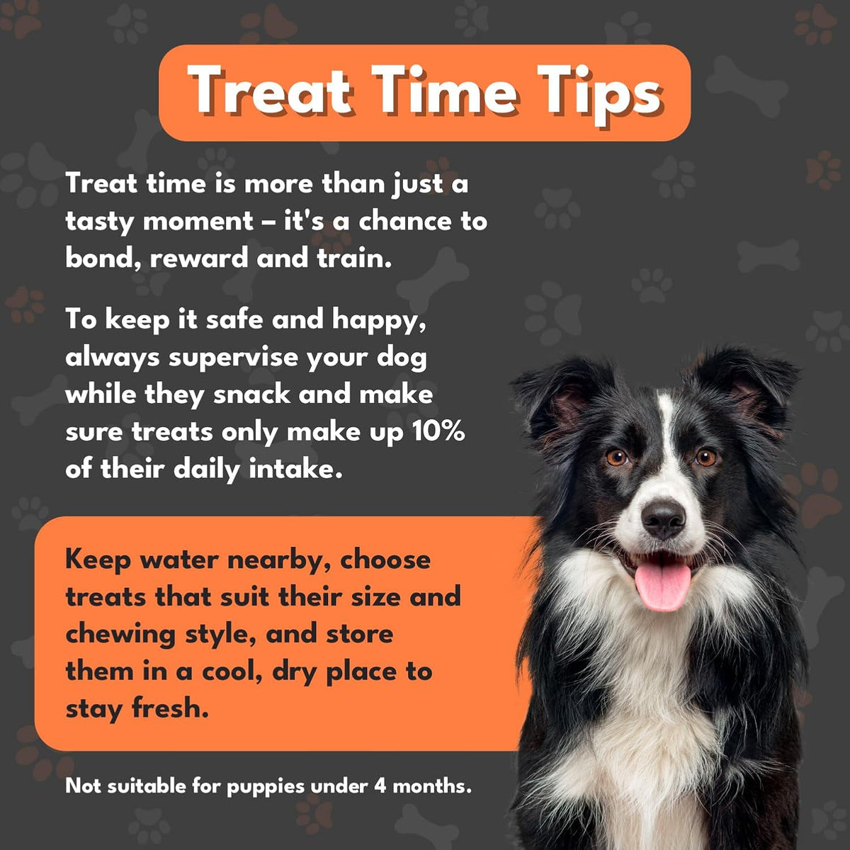 Pet Munchies Chicken and Cheese Dog Treats 100g