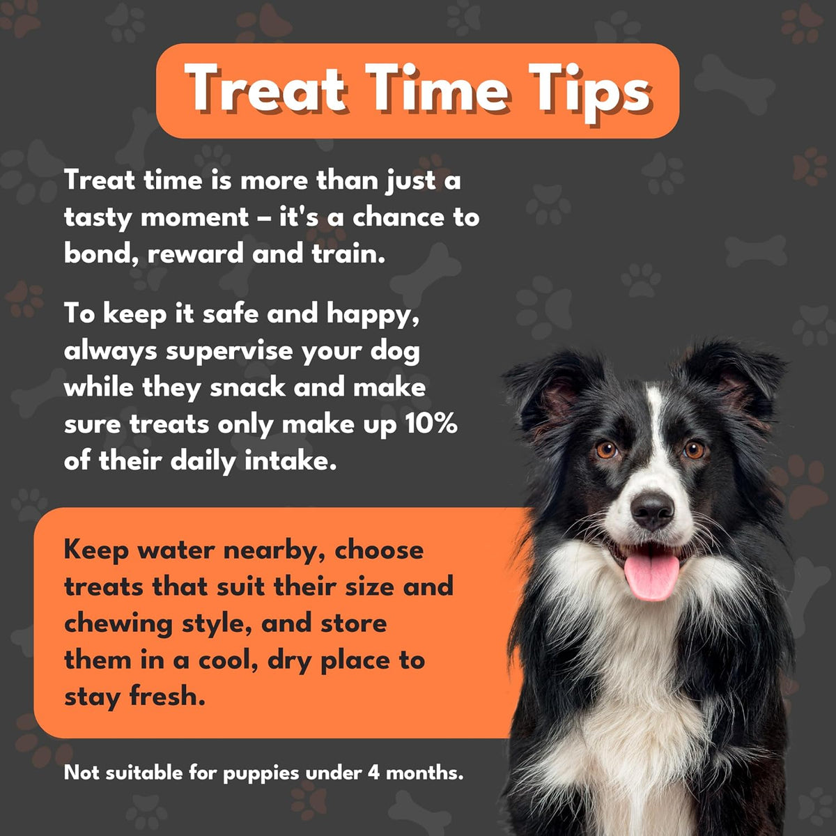 Pet Munchies Wild Salmon Dog Training Treats 50g