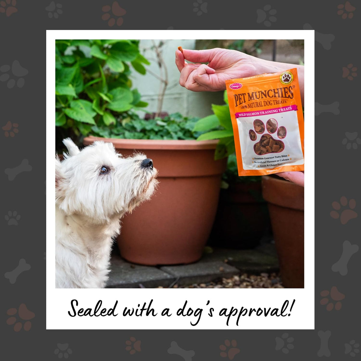 Pet Munchies Wild Salmon Dog Training Treats 50g